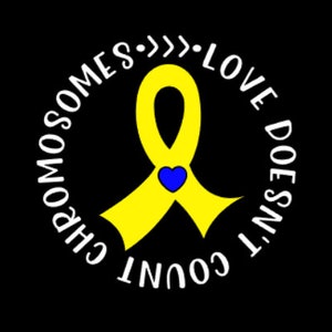 Down Syndrome awareness, t21, trisomy 21 car decal