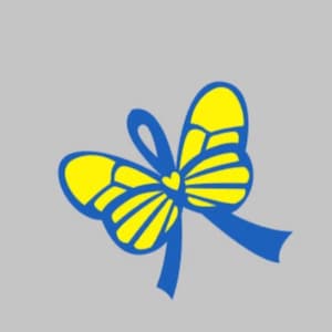 Down Syndrome awareness, t21, trisomy 21 car decal, love doesn&#39;t count chromosomes