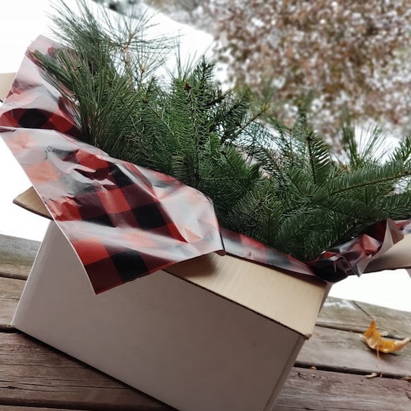 Fresh Cut Holiday Evergreens-Seasons Greetings in a Box!  Christmas Decor- Fir, pine, spruce!! DIY project- Evergreens- Christmas Tree!