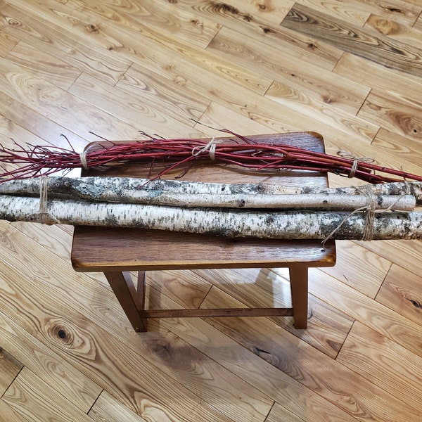 Winter container accent- Birch poles -Red Twigs -