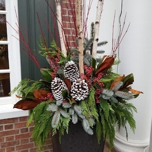 May include: A dark, square planter overflowing with a winter arrangement. It features white-tipped pinecones, red berries, birch branches, and various evergreen foliage. Brown magnolia leaves add warmth to the display. The arrangement is set against a brick wall and a green door.