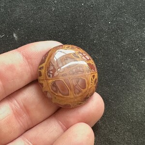 May include: A round, polished cabochon of brown, red, and white patterned stone. The stone has a smooth, glossy finish.