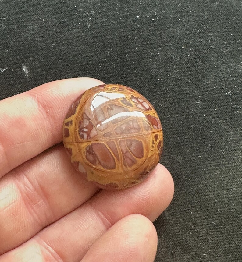 May include: A round, polished cabochon of brown, red, and white patterned stone. The stone has a smooth, glossy finish.
