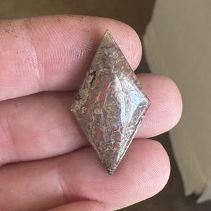 May include: A brown and white diamond-shaped cabochon gemstone with a unique pattern.
