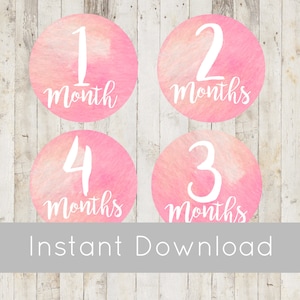 Monthly Baby Stickers, Baby Shower Gift, Printable Baby Growth Stickers, Month Milestone Growth Stickers Pink Watercolor, Milestone Stickers