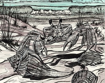 Hidden Wonders Series, Shell Collector Print