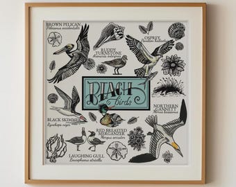 Beach Birds Art Print: North American Bird Illustration