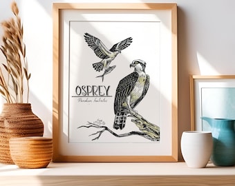Osprey Watercolor Illustration Art Print - Hand Drawn Bird Art - Nature Home Decor