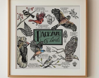 North American Birds Art Print: Backyard Birder Gift