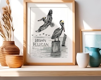 Naturalist Birds Series, "Pelican" Print