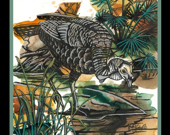Blackwater Turkey Giclee Print