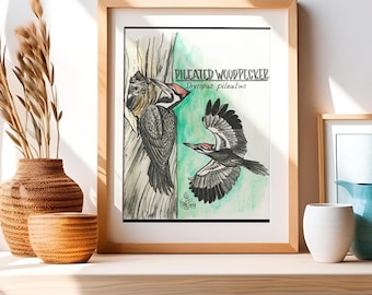Pileated Woodpecker Illustrated Watercolor Art Print - Bird Artwork Wall Decor