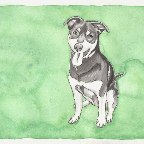 Custom Pet Portrait - 5"x7" Ink/Watercolor