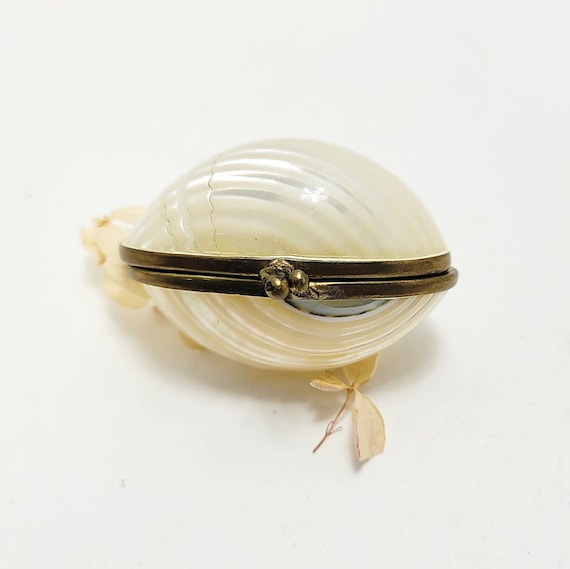 Antique Shell Coin Purse - image 4
