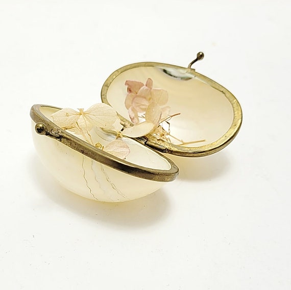 Antique Shell Coin Purse - image 7