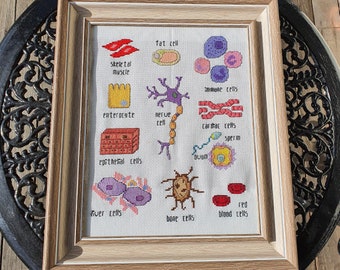 Human Biology Cells Cross Stitch Pattern Digital Download, Science Cross Stitch, Nerdy Geeky Cross Stitch