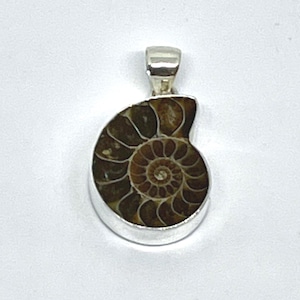 Charles Albert Ammonite Fossil Pendant Bezel Set in Fine Sterling Silver