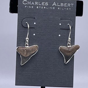 Charles Albert Shark Tooth Natural Fossil Earrings Bezel set in Fine Sterling Silver