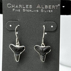 Charles Albert Shark Tooth Natural Fossil Earrings Bezel set in Fine Sterling Silver