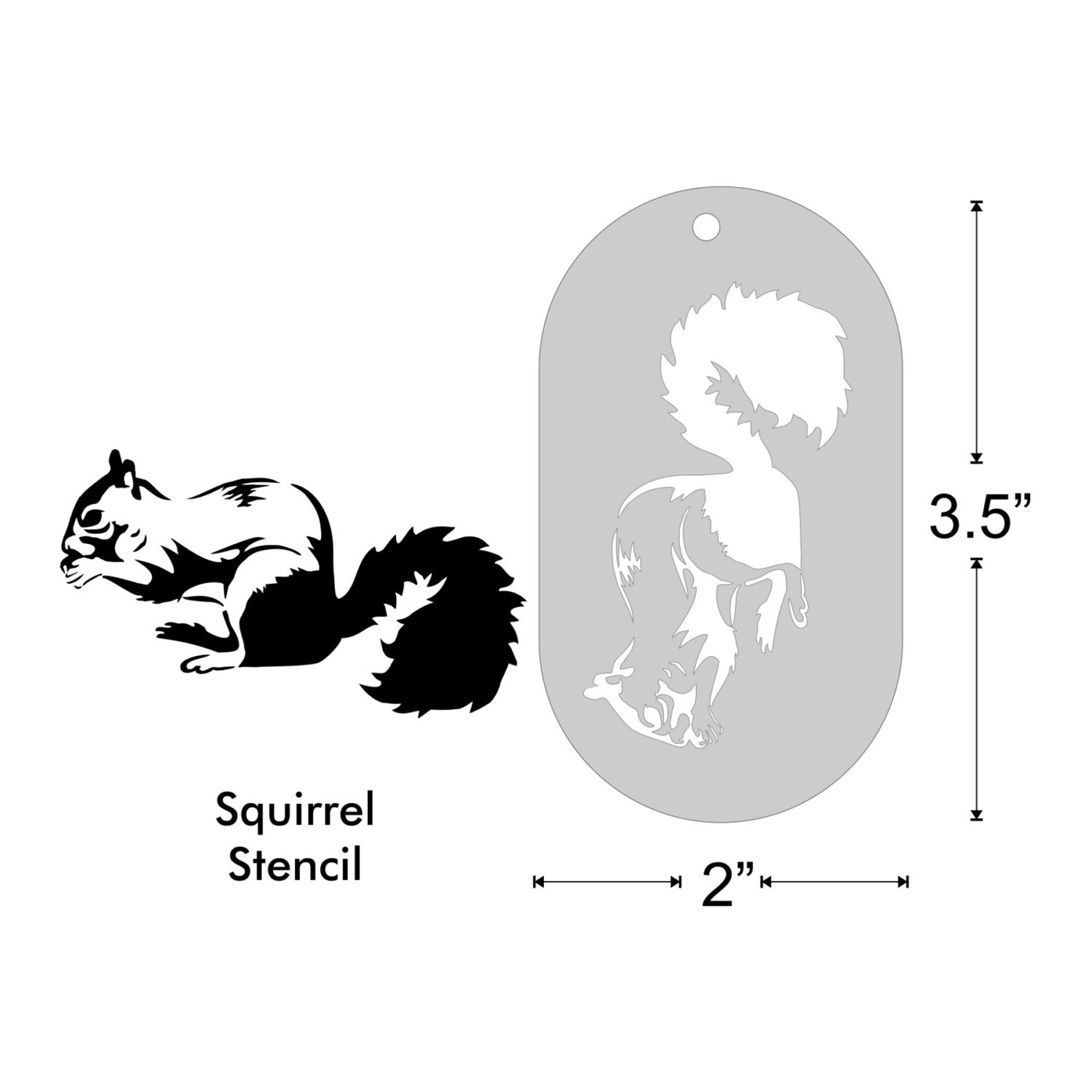 Stencil Squirrel Medium | Etsy