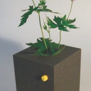 Vase &quot;Memo-Cube&quot;