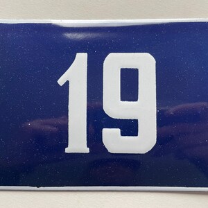 Op de afbeelding: Rechthoekig blauw geëmailleerd huisnummerbord met het witte nummer 19. Het bord heeft een witte rand en twee bevestigingsgaten. Het blauwe oppervlak heeft een gespikkelde uitstraling.