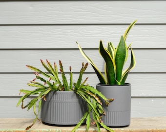 Flint Warm Charcoal Grey Matte Modernist Plant Pot Planter