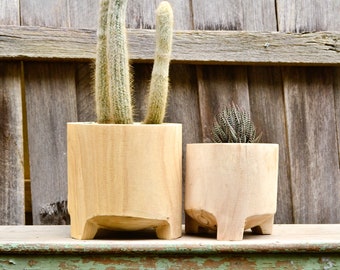Modern Natural Timber Footed Indoor Plant Pot Planter