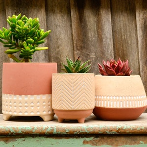 Ceramic Tricolour Terracotta and Beige Geometric Patterned Pot Planters