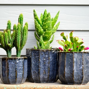 Beatrix Ceramic Dark Navy Textured Indoor Planter Pot