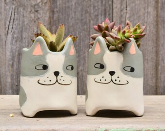 Quirky Small Grey and White 'Bentley' Cat Planter