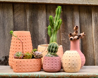 Modern Textured Ceramic Sea Urchin Inspired Pot Planters, Vase and Vessel