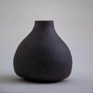 Peut inclure: Un vase en céramique brun foncé fait à la main avec une surface texturée. Le vase a un corps arrondi et un col étroit, parfait pour exposer des fleurs ou comme pièce décorative. Le vase mesure environ 15 cm de haut.