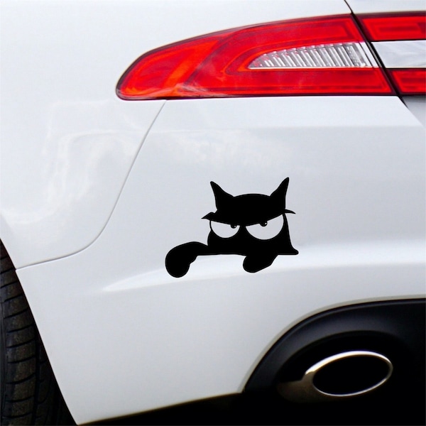 Funny Cat Sticker, Cat Sticker, Funny Car Sticker, Kitten Vinyl Decal For Bumper or Window