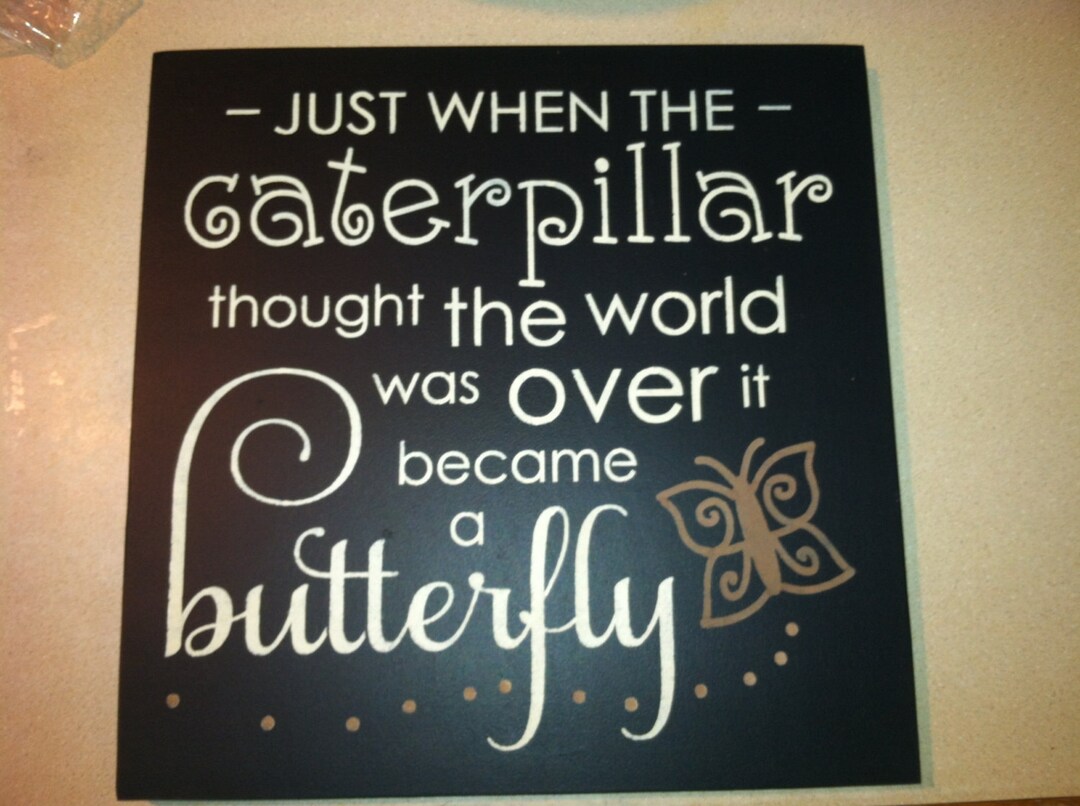 Just When the CATERPILLAR Thought the World Was Over ..it Became a ...