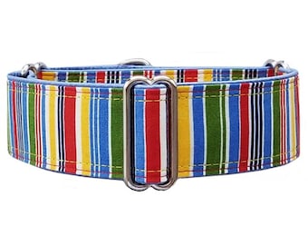Beach ball stripe martingale dog collar! Greyhound, whippet, sighthound all breed collar! Unfrogettable!