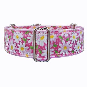 Martingale Dog Collar. Pink Daisy Floral Adjustable greyhound, borzoi, whippet, doberman, dog dollar, Unfrogettable!