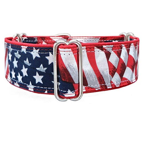 Old Glory Patriotic Martingale Dog Collar- Red, White & Blue.  Greyhound, whippet sighthound collar.