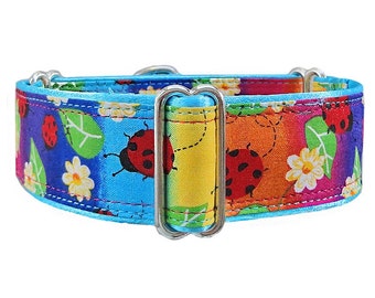 Martingale dog collar. Rainbow Ladybugs! Greyhound, whippet, doberman, great dane, boxer, mastiff. Made to order!