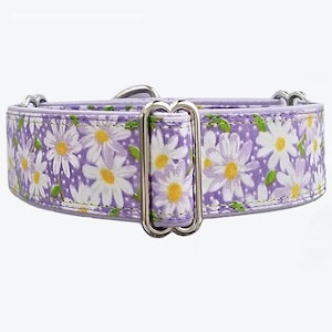 Martingale Dog Collar.  Lavender Daisy Floral Adjustable greyhound, borzoi, whippet, doberman, dog dollar, Unfrogettable!