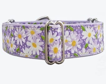 Lavender Daisy Martingale Dog Collar, Satin Lined, Custom Made for Greyhound, Whippet, Doberman
