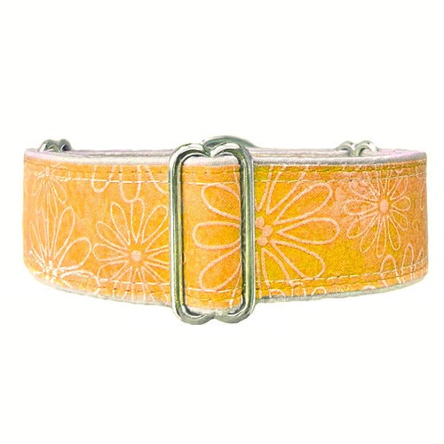 Daisy Dog Collar Yellow Floral Etsy