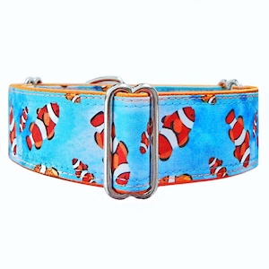 Clownfish martingale collar, tropical collar! Sighthound dog collar, greyhound collar, whippet collar, doberman collar! Made to order.