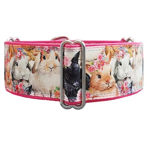 Sweet Bunnies! Adjustable martingale dog collar. Easter collar for greyhound, whippet, doberman.  Unfrogettable!