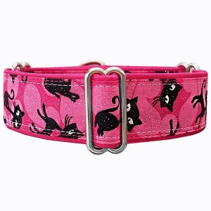 Glitter Kitties! Adjustable martingale dog collar. Greyhound collar,  whippet collar, large dog collar. Unfrogettable!