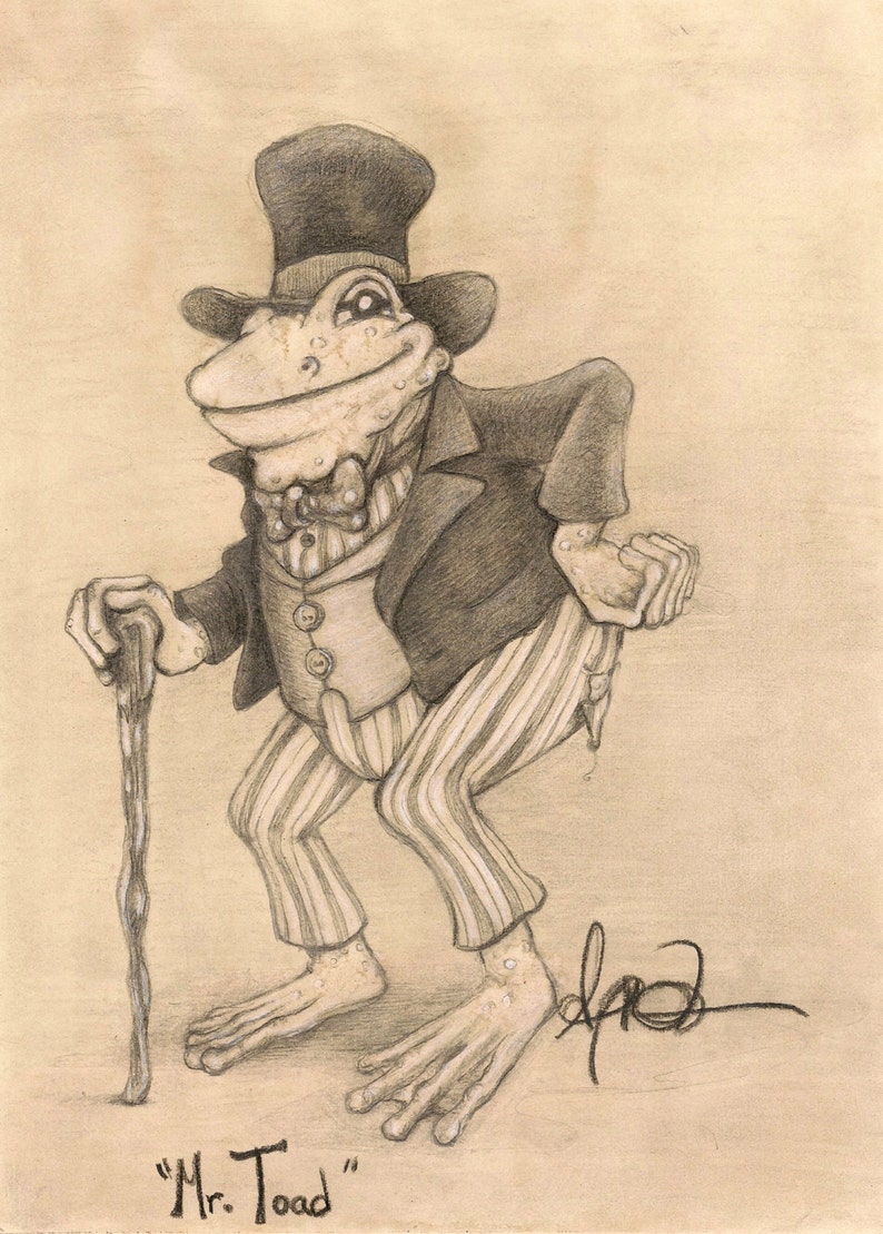 Wind in the Willows Toad Fine Art Print - Etsy