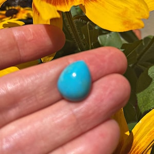 Puede incluir: Una piedra preciosa turquesa en cabujón en forma de lágrima, de un color azul vibrante, sostenida en una mano sobre un fondo de flores amarillas.