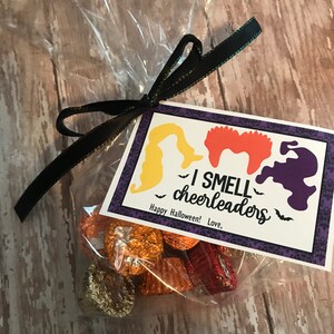 May include: A purple and white Halloween gift bag with a tag that says "I smell cheerleaders" and a black ribbon. The bag contains chocolate candies.