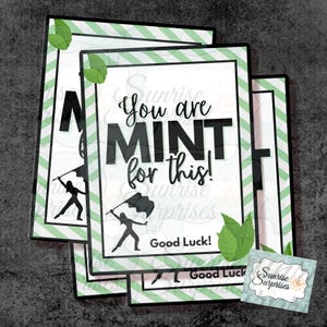 Carte portafortuna del concorso Colorguard / Carte Colorguard / Mint For This / Carta del concorso Winterguard / Regalo con bandiera / Mint Good Luck