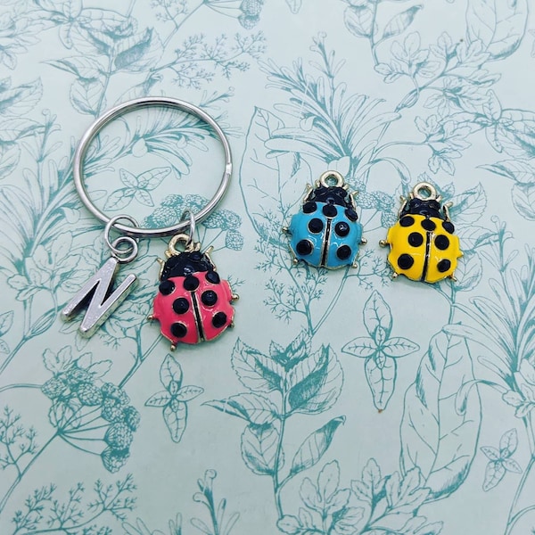 Ladybird keyring, ladybird gift, initial keyring, ladybird lover gifts, personalised keyring, teacher gifts, insect geek, stocking fillers,